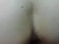 Lul hondje stijl
