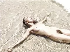 Harige pussys op het strand